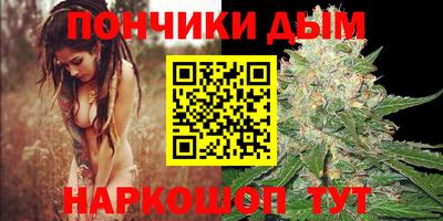 ПСИЛОЦИБИНОВЫЕ ГРИБЫ Можга
