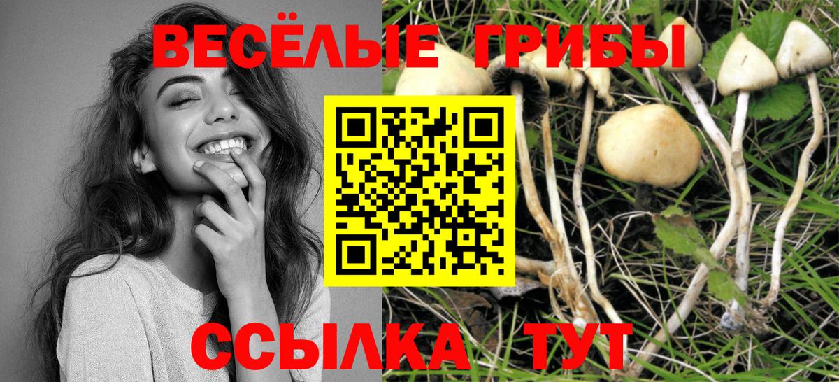 Псилоцибиновые грибы MAGIC MUSHROOMS  Галлюциногенные грибы Cubensis  Вход с VPN  Вичуга 
